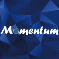 momentum services limited