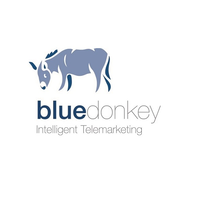 blue donkey limited