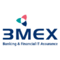 3mex limited