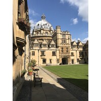 advanced pest control limited