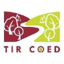 tir coed