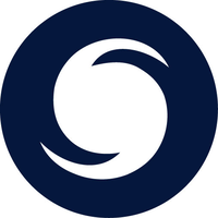 solent stevedores limited