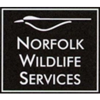 norfolk wildlife services limited