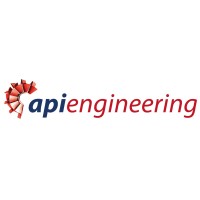 a.p.i. engineering limited