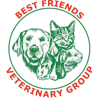 best friends veterinary group