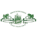 brocksbushes limited