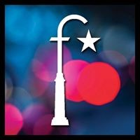 the festive lighting company limited