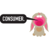 the consumer company limited