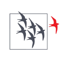 way fund managers limited