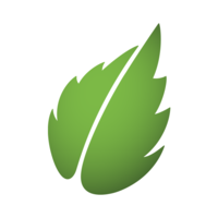 peppermint technology limited