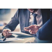 perspective (north) limited