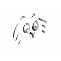 wise grey owl limited