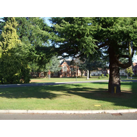 netherne management limited