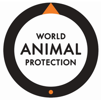 world animal protection
