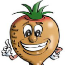 southern farmers limited