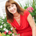 the accountsmith limited