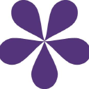 squashed grapes limited