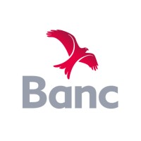 development bank of wales public limited company