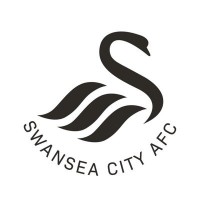 swansea city football club limited