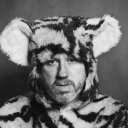 badly drawn boy limited