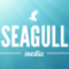 seagull media limited