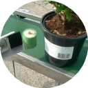 mechanical botanical limited