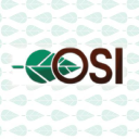 outdoor services limited