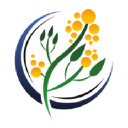 acacia financial services limited