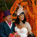 bolli darling limited