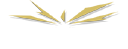 firework store limited