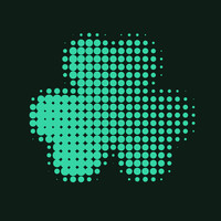 st patrick's festival birmingham ltd.