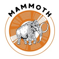 mammoth music limited