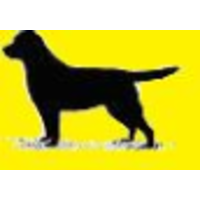 the labrador rescue trust