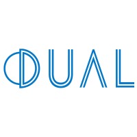 dual corporate risks limited