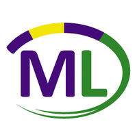 multileasing limited
