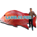 langley fish & chips limited
