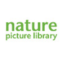 nature picture library limited