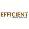 efficient engineering limited