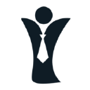 the falcon project limited