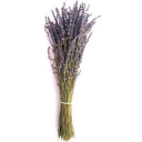 lavenderworld limited