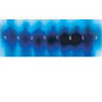 you.nique business solutions limited