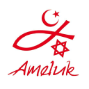 amel (uk) limited