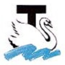 ace thames security limited