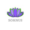 somnus limited