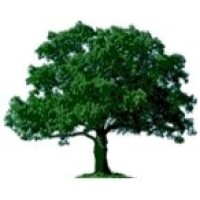 woodside lodge limited