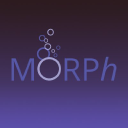 morph consultancy ltd