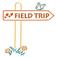fieldtrip limited