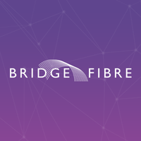 bridge fibre limited