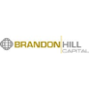 brandon hill capital limited