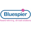bluespier international limited